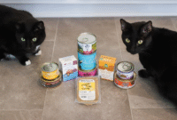 Top 5 Cat Foods Reviewed: Which One Is Right for Your Feline?