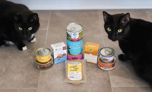 Top 5 Cat Foods Reviewed: Which One Is Right for Your Feline?